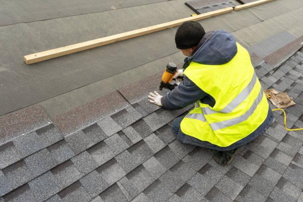 Roof Gutter Cleaning in East Brewton, AL