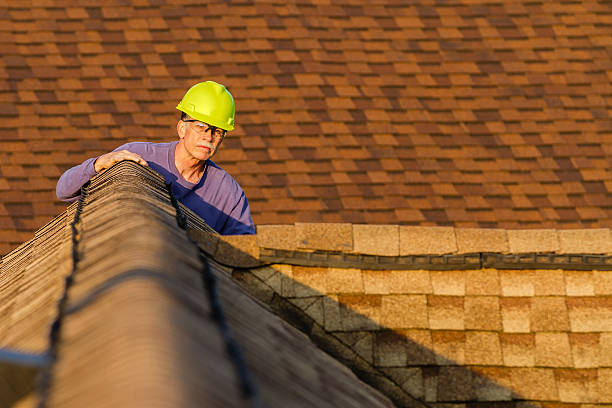 Best Roof Gutter Cleaning  in East Brewton, AL