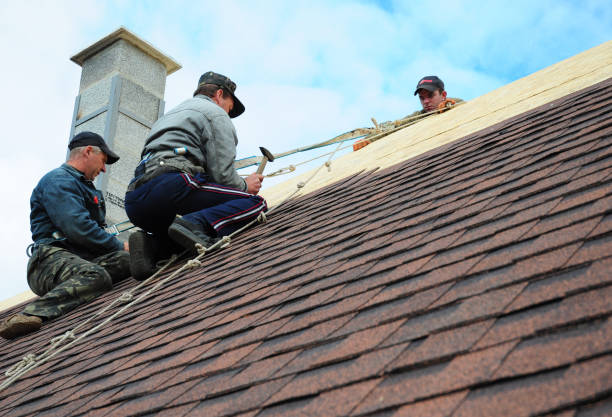 Best Commercial Roof Installation  in East Brewton, AL